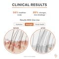 Clinical Results - Scalp & Hair Strength