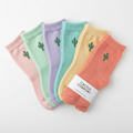 Desert Comfort Socks 6-Pack Spring Colors